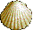 CONCHA DE VIEIRA